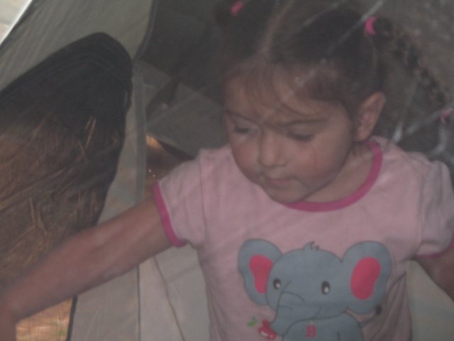 8.26-27.06 Twin Lakes & Palmateer Point 038 